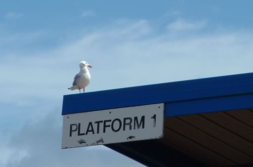 Waiting for transport