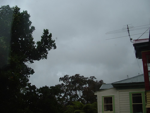 Summer in Wellington