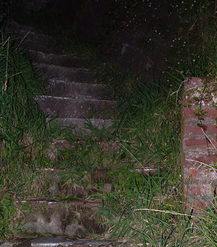 Steps from Hell
