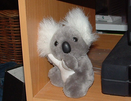 Uncanned Koala