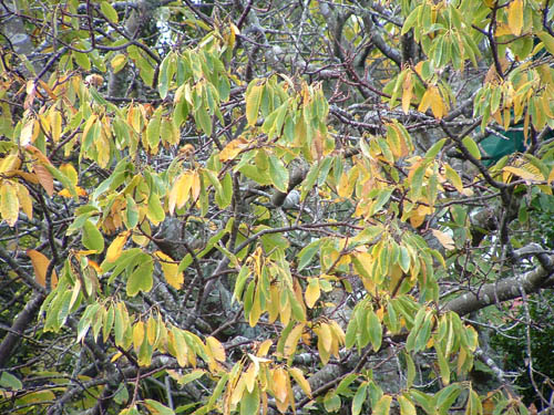 Autumn is here