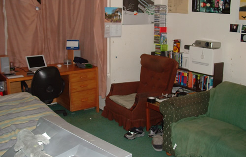 New Layout