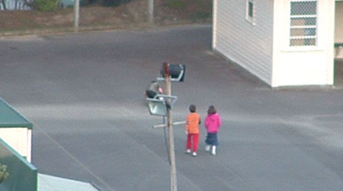 Just Walking