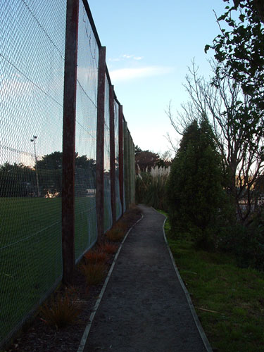 The Path
