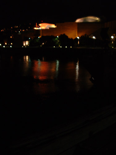 Te Papa's Reflections