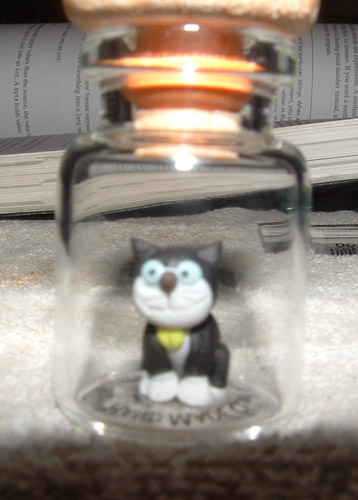 Cat in a Jar