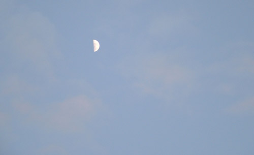 Eric the half a moon