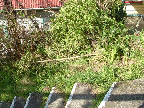Horizontal Tree