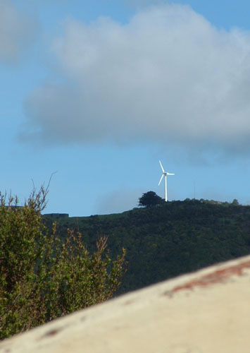 Brooklyn Windmill