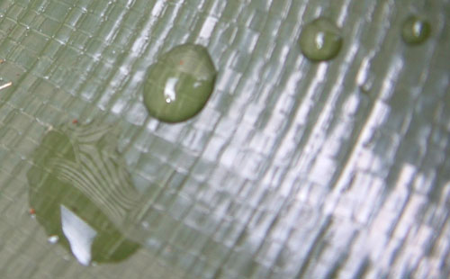 Rain Drops