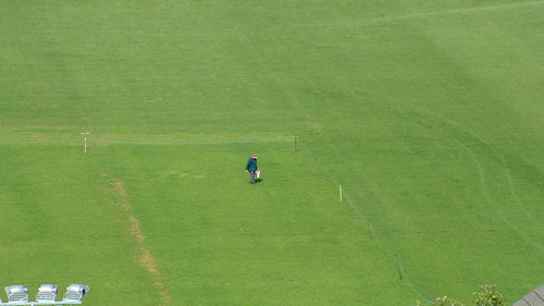 Field Person