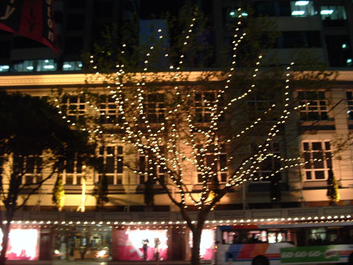One Lit Tree