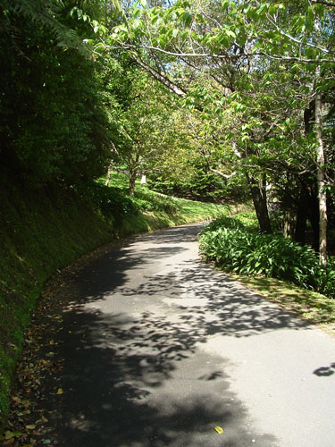 Botanic Gardens