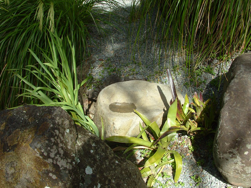 Rock Pool