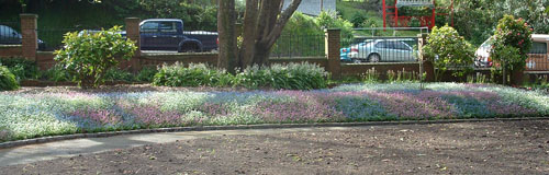 Flower bed