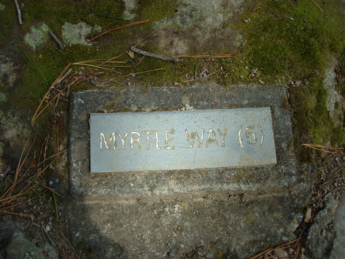 Myrtle Way