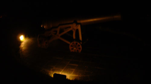 Mt Vic Cannon