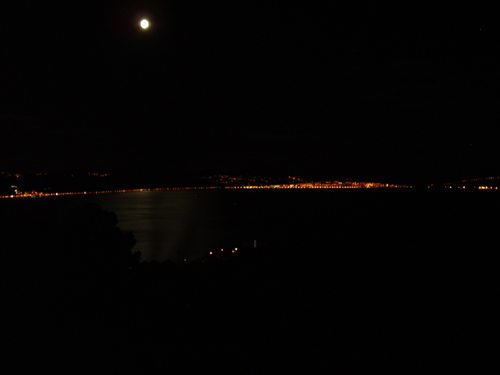 Wellington Harbour