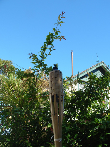 Lantern