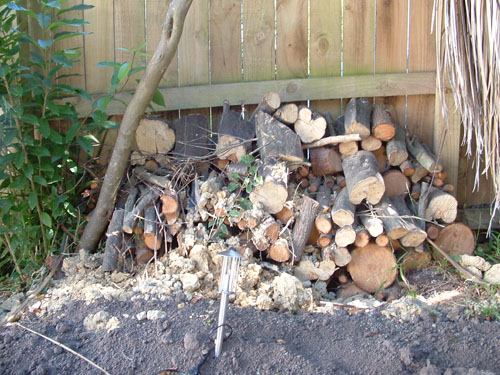 The Woodpile