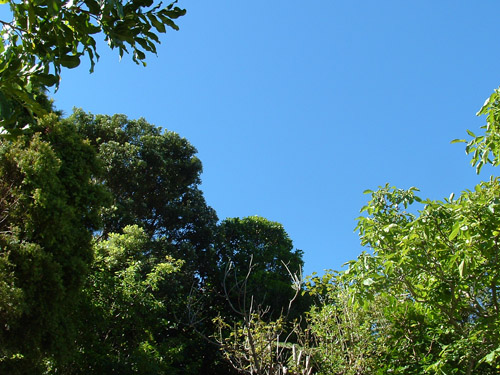 The Sky